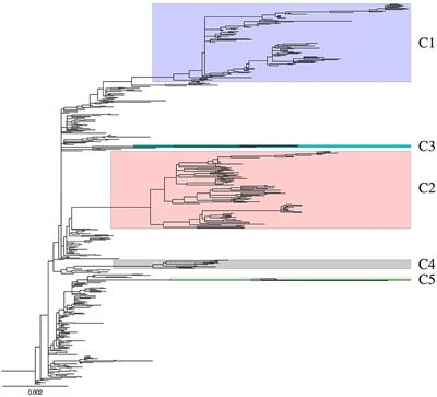 Evolution, Transmission, and Pathogenicity of High Pathogenicity Avian Influenza Virus A (H5N8) Clade 2.3.4.4, South Korea, 2014–2016